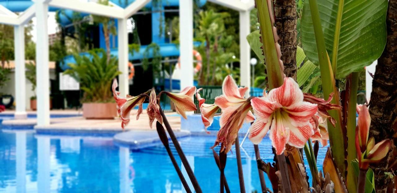 בנאלמדנה El Estudio De La Playa Benalbeach Holidays Deluxe מראה חיצוני תמונה