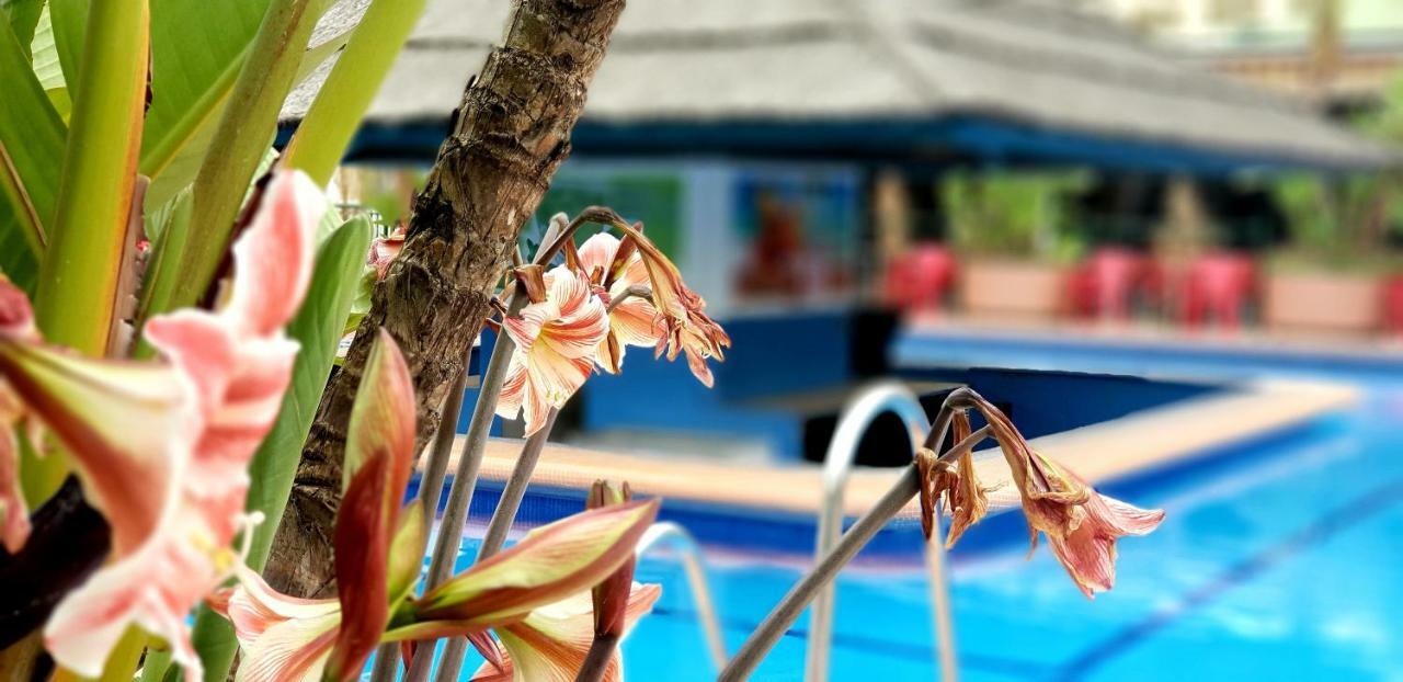 בנאלמדנה El Estudio De La Playa Benalbeach Holidays Deluxe מראה חיצוני תמונה